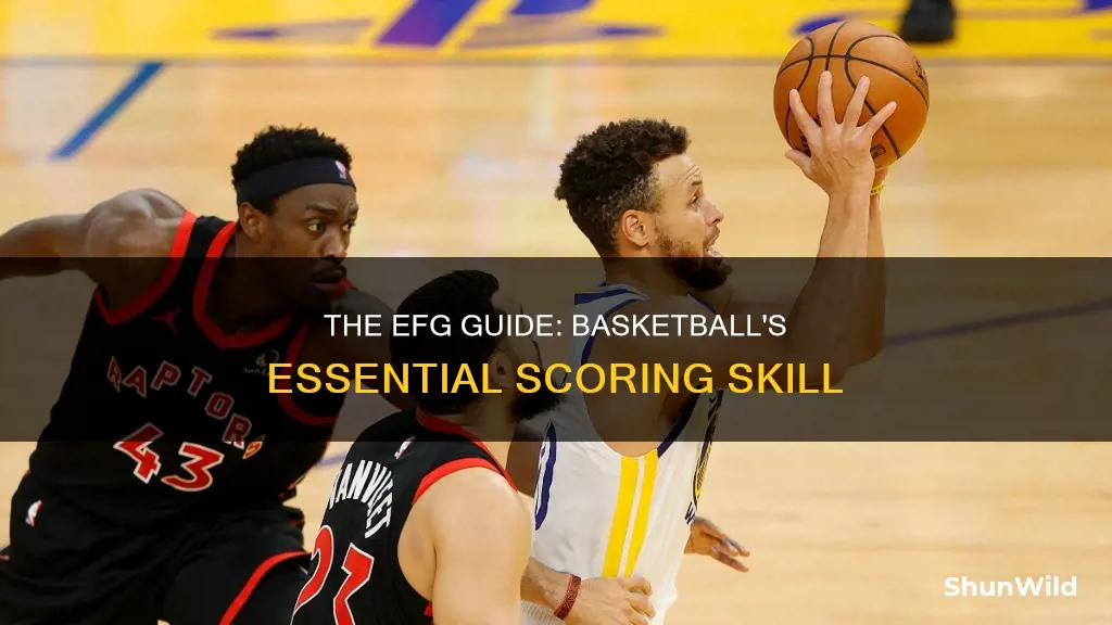what is efg in basketball