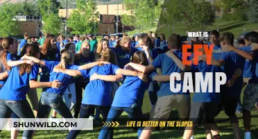 Exploring EFY Camp: A Life-Changing Youth Experience Explained