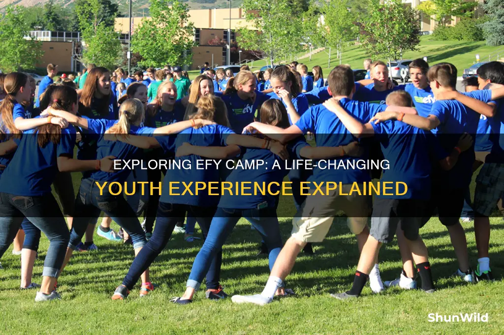 what is efy camp
