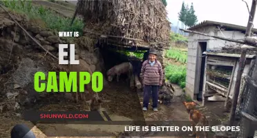 Exploring El Campo: Understanding Its Meaning, Culture, and Significance