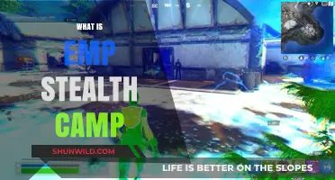 Understanding EMP Stealth Camps: Tactics, Detection, and Survival Strategies