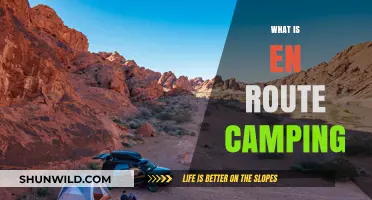 Exploring the Adventure of En Route Camping: Tips and Essentials