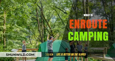 Exploring Enroute Camping: A Beginner's Guide to Adventure on the Go