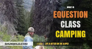 Exploring Equestrian Class Camping: A Unique Outdoor Adventure Experience