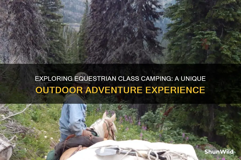 what is equestion class camping