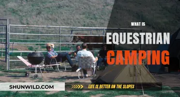 Exploring Equestrian Camping: Horseback Adventures in the Great Outdoors