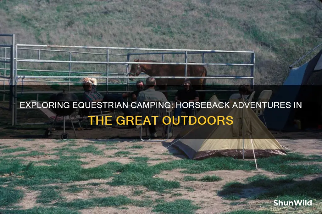what is equestrian camping