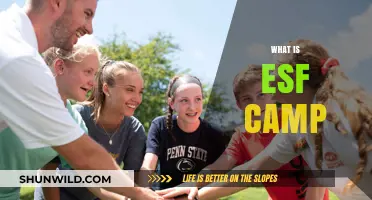 Discover the Adventure: What is ESF Camp All About?