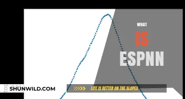 ESPNN: The Future of Sports News and Entertainment