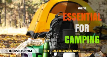 Camping Essentials: Gear, Safety, and Tips for an Unforgettable Outdoor Adventure
