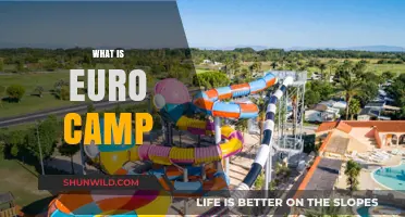 Discover Euro Camp: Your Ultimate European Adventure Experience Explained