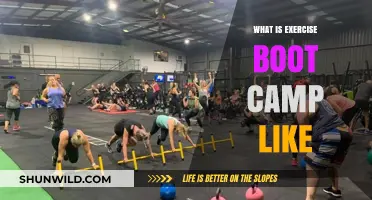Sweat, Push, Transform: Inside the Intense World of Exercise Boot Camp