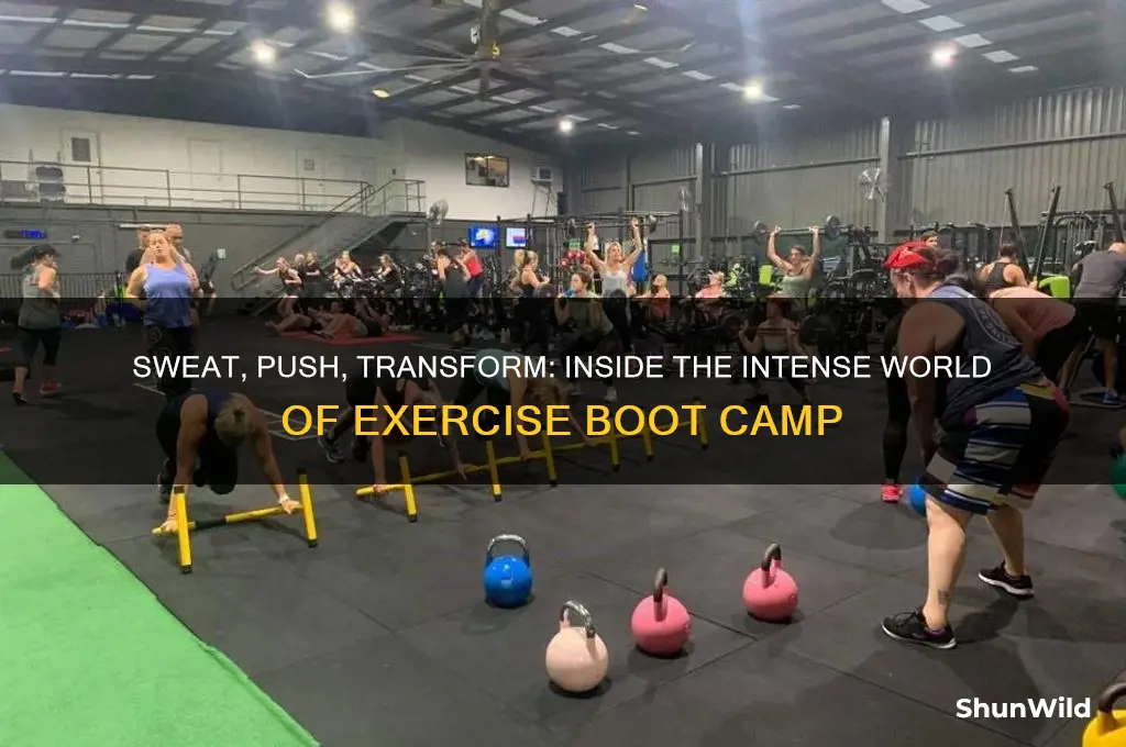 what is exercise boot camp like