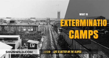 Understanding Extermination Camps: History, Purpose, and Devastating Legacy