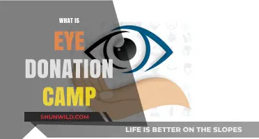 Understanding Eye Donation Camps: Purpose, Process, and Impact Explained