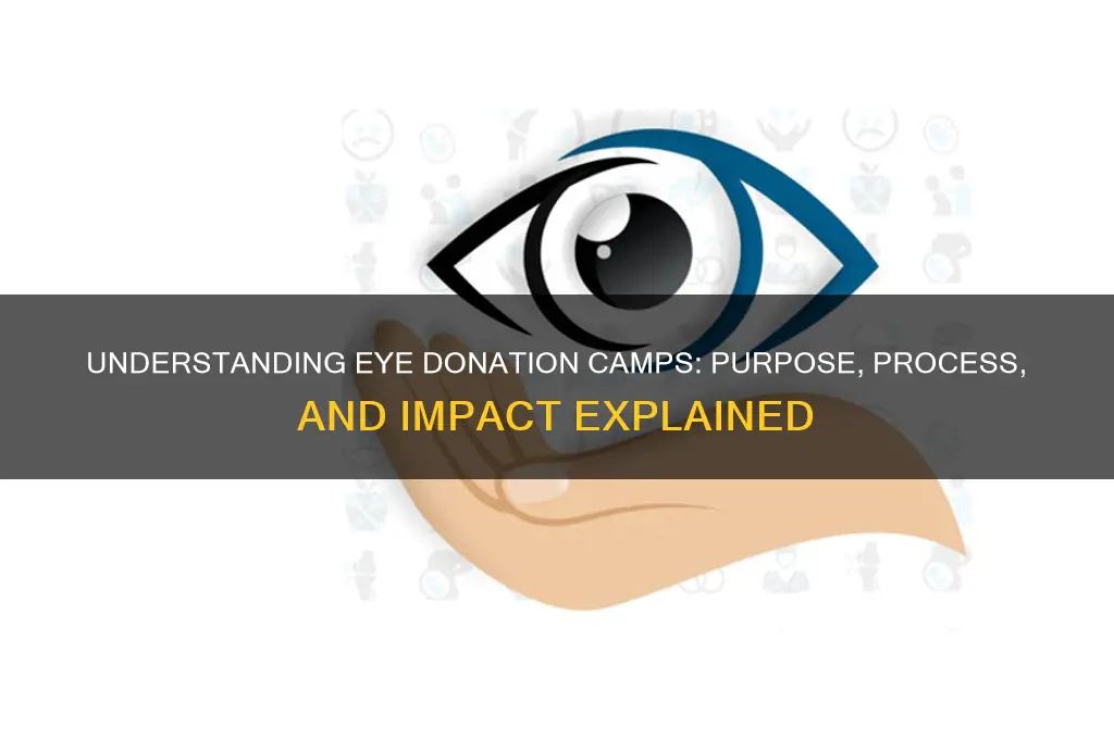 what is eye donation camp