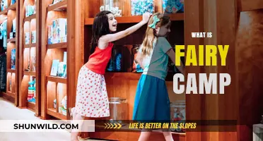 Discover the Magic: What is Fairy Camp and Why It's Enchanting