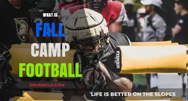 Understanding Fall Camp Football: Essential Preseason Training Explained