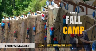 Understanding Fall Camp: A Comprehensive Guide to Seasonal Outdoor Adventures