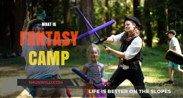 Unleash Your Dreams: Exploring the Magic of Fantasy Camp Adventures