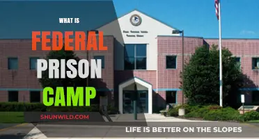 Understanding Federal Prison Camps: Structure, Life, and Rehabilitation Programs