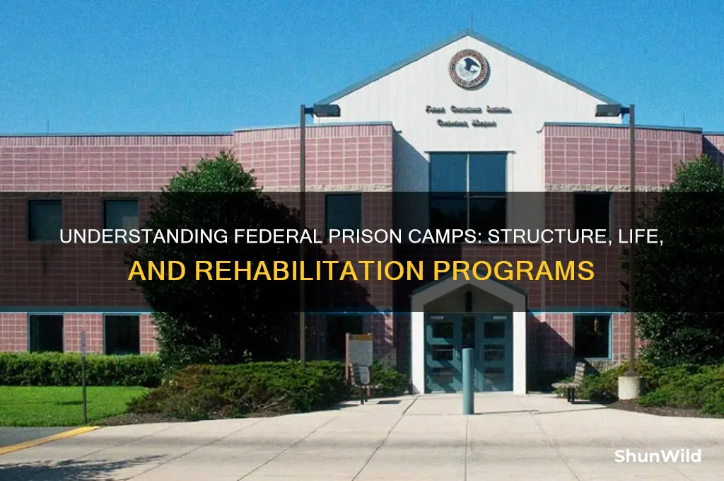 what is federal prison camp