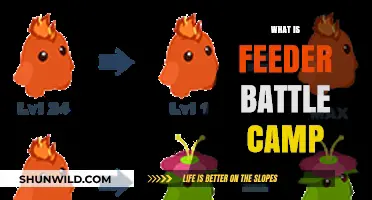 Understanding Feeder Battle Camp: Strategies, Benefits, and Gameplay Explained