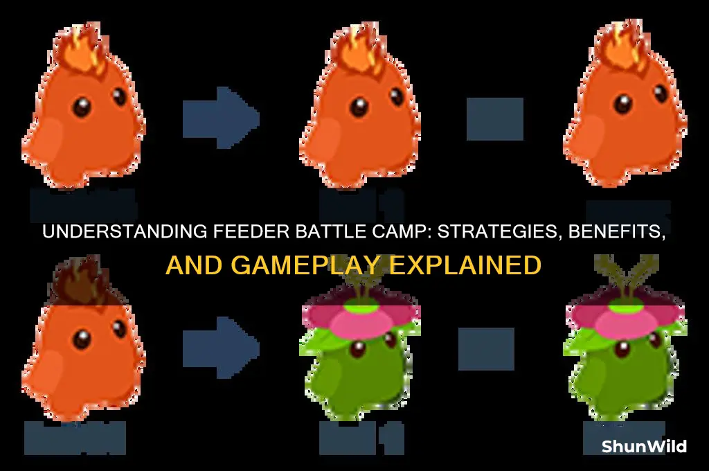what is feeder battle camp