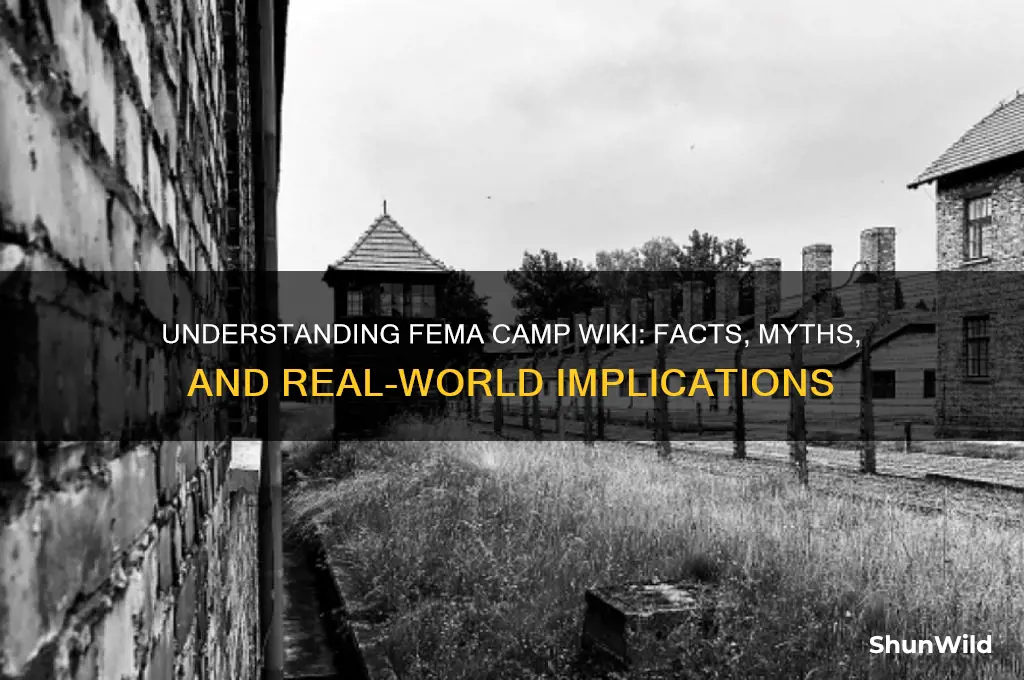 what is fema camp wiki
