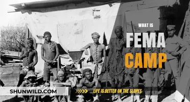 Understanding FEMA Camps: Facts, Myths, and Their Real Purpose Explained