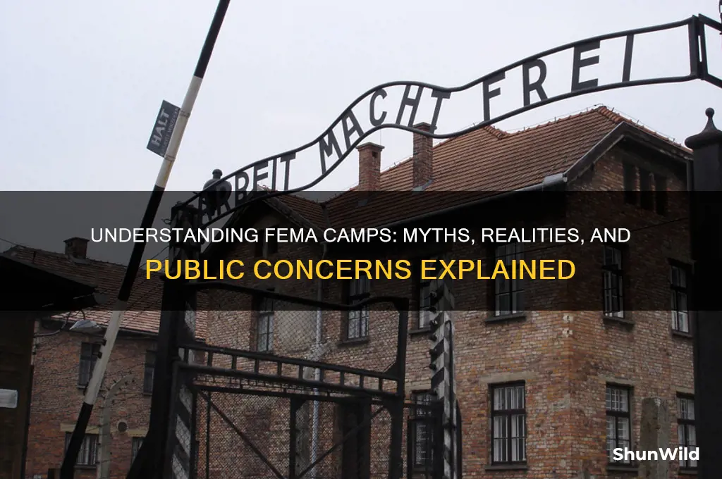 what is fema concentration camps