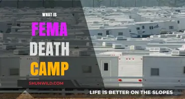 Unveiling the Truth: Understanding FEMA Death Camp Conspiracy Theories