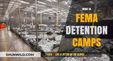 Understanding FEMA Detention Camps: Facts, Myths, and Real Concerns