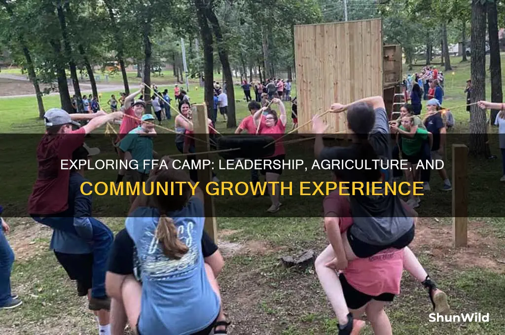 what is ffa camp