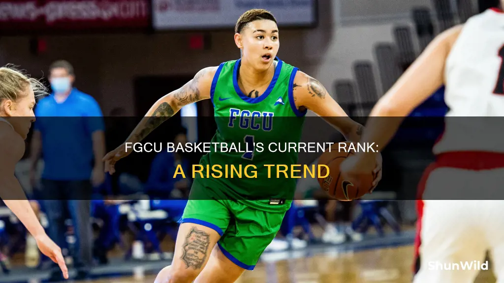 what is fgcu basketball ranked