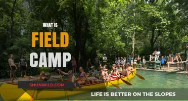 Exploring Field Camp: An Immersive Outdoor Learning Adventure Explained