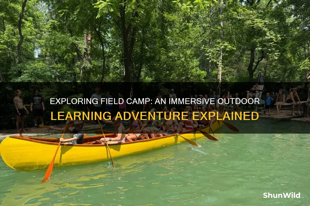 what is field camp