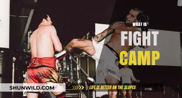 Understanding Fight Camp: Training, Discipline, and Preparation for Combat Sports