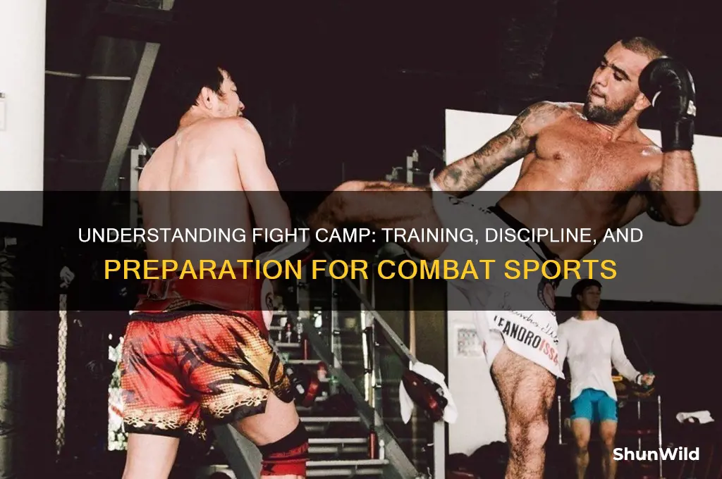 what is fight camp