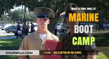 Understanding the Final Drill: Marine Boot Camp's Ultimate Test Explained