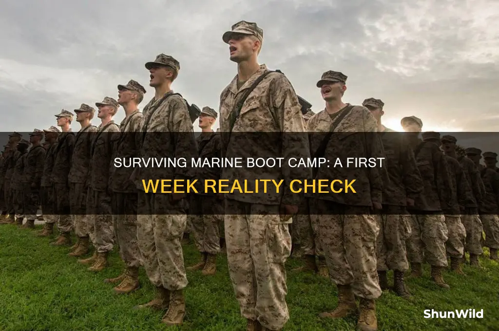 what is first week like at marine boot camp