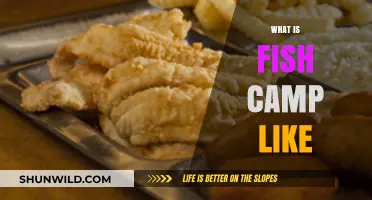 Exploring Fish Camp: A Beginner's Guide to the Unique Experience