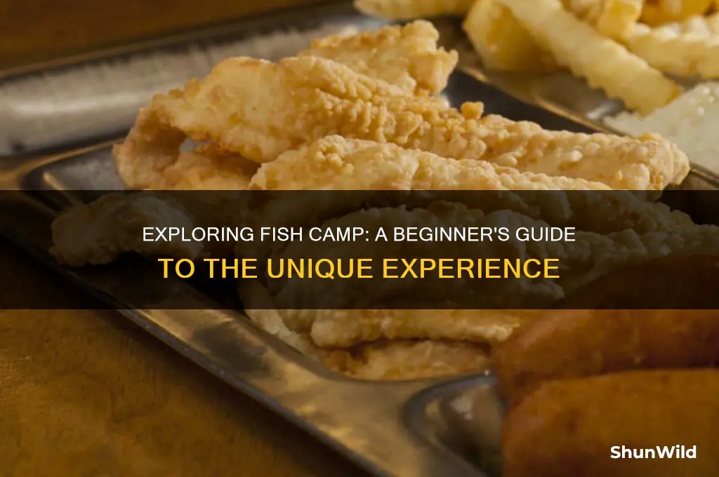 what is fish camp like