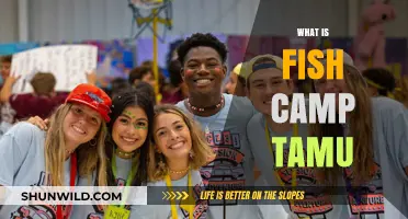 Discovering Fish Camp TAMU: A Unique Texas A&M Tradition Explained