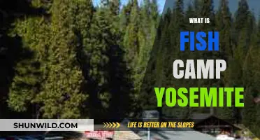 Exploring Yosemite's Fish Camp: A Hidden Gem Near the Park