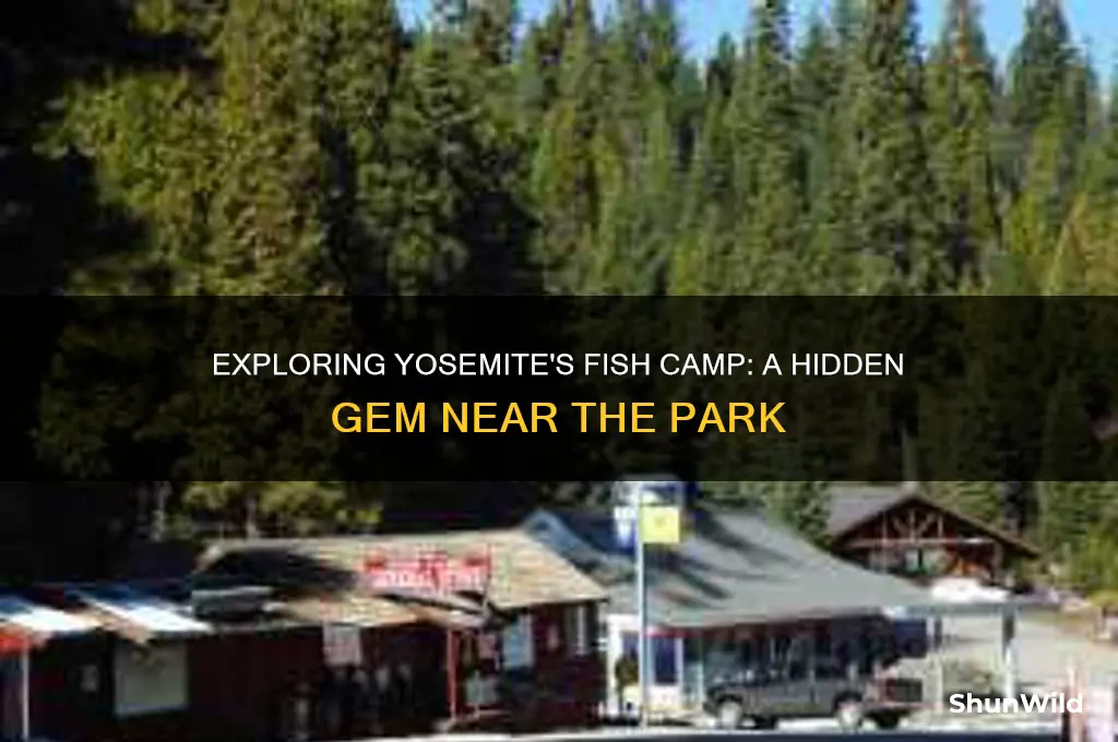 what is fish camp yosemite