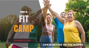 Discover Fit Camp: Transform Your Fitness in a Fun, High-Energy Environment