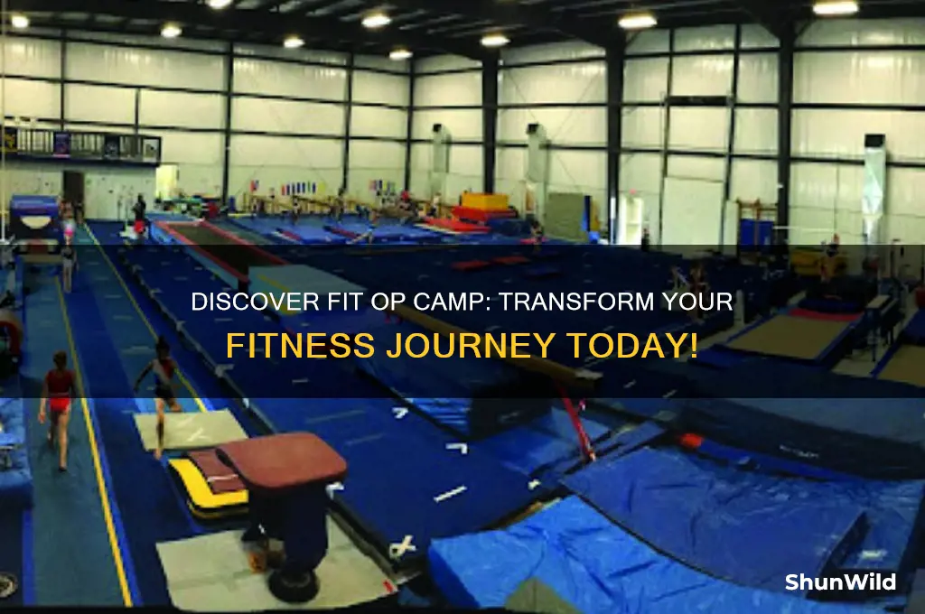 what is fit op camp