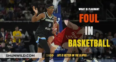 Understanding Flagrant Fouls in Basketball