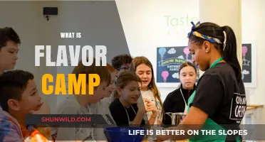 Exploring Flavor Camp: A Culinary Adventure for Food Enthusiasts
